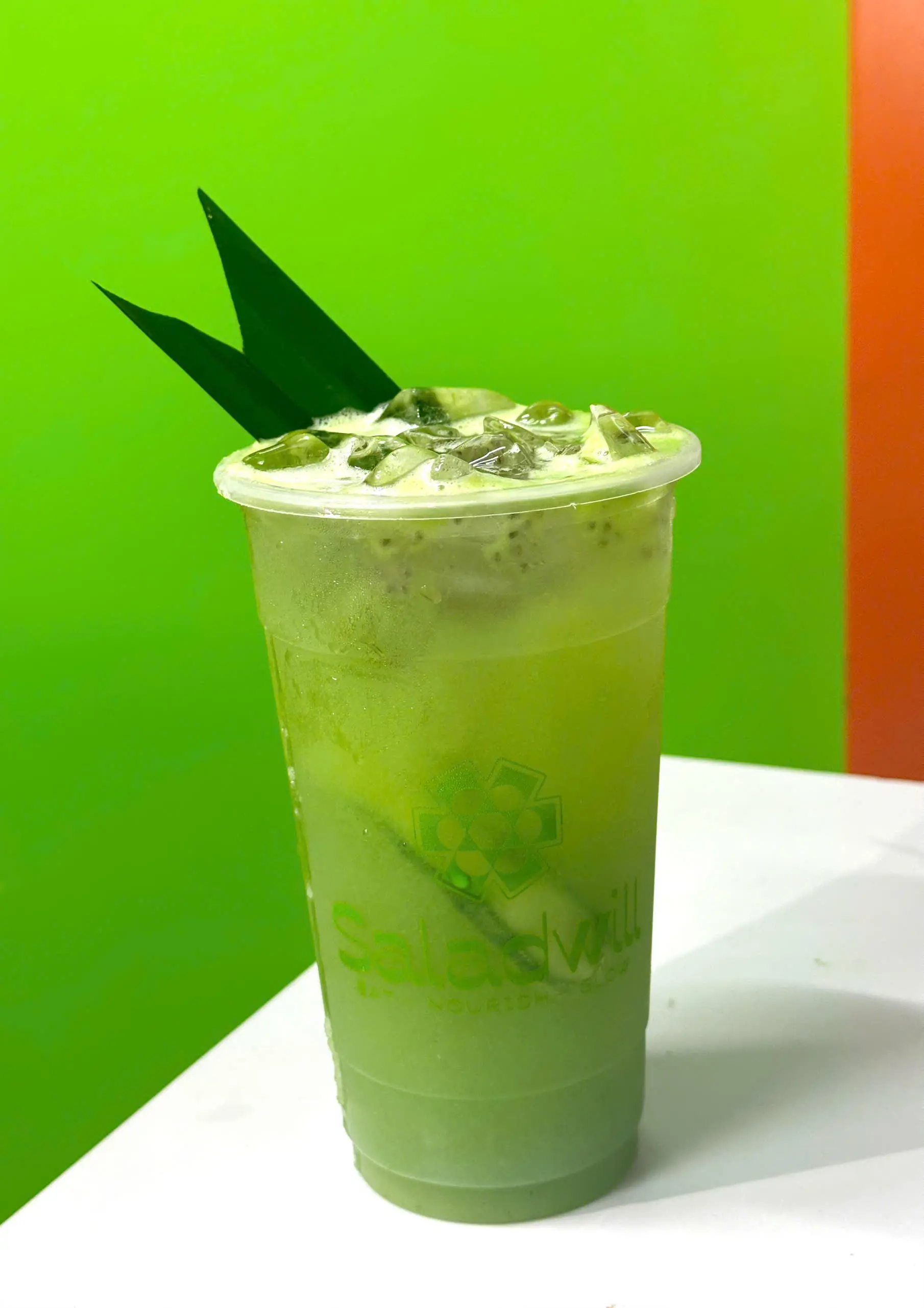 Willfresh/DEEP DETOX -L – THẢI ĐỘC SÂU