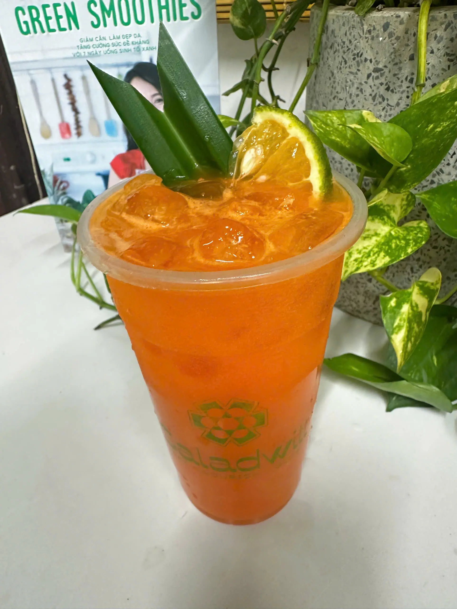 Willfresh/COLD FIGHTING-M – NGUỒN NĂNG LƯỢNG LẠNH